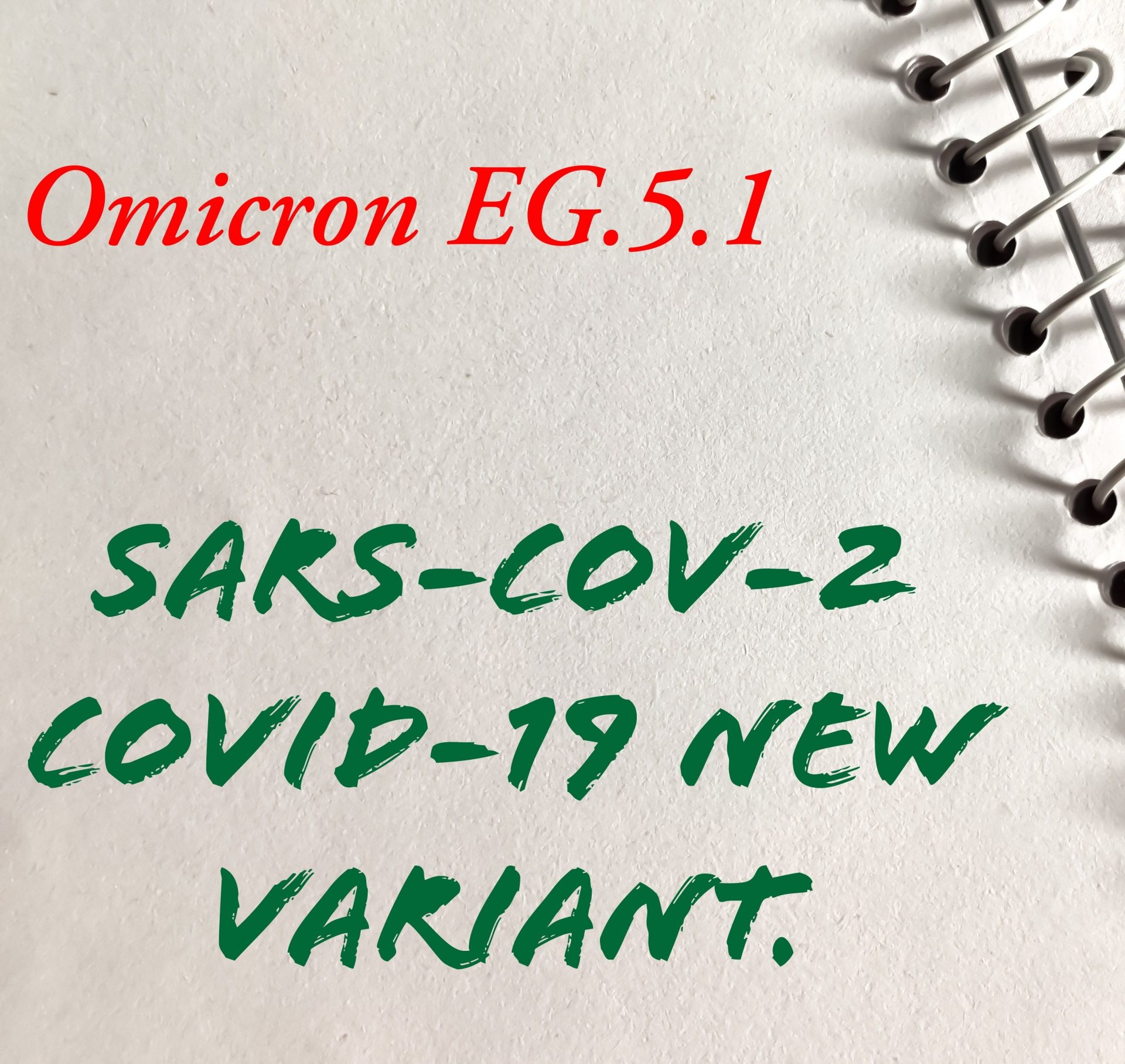 ANVISA lança nota técnica sobre nova variante SARS-COV-2