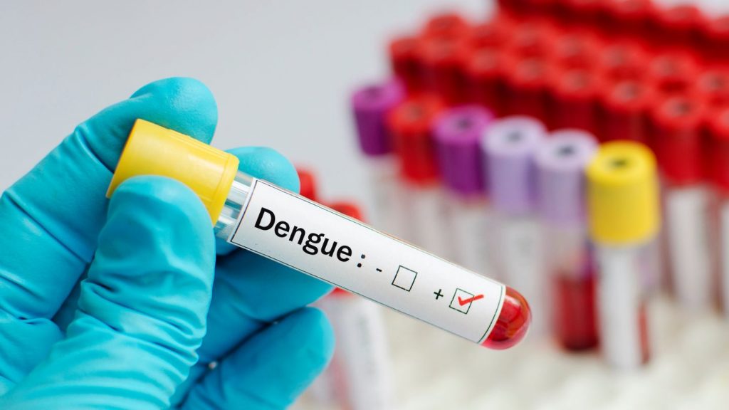 Aumento dos casos de Dengue no Brasil – o que preciso saber?