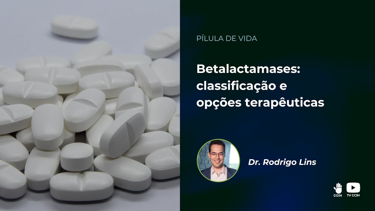 Betalactameses: classificação e opções terapêuticas.